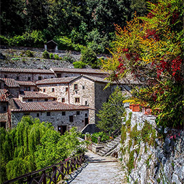 Excursions from Cortona to discover Tuscan Food and Wine | Toscana e Gusto - Guided Tours around Cortona