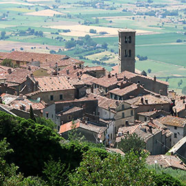 Excursions from Cortona to discover Tuscan Food and Wine | Toscana e Gusto - Guided Tours around Cortona