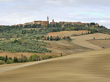 Excursions from Cortona to discover Tuscan Food and Wine | Toscana e Gusto - Guided Tours around Cortona