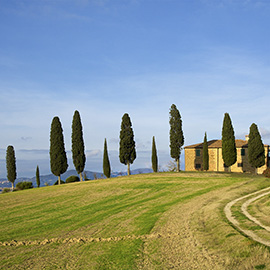 Escursioni intorno a Cortona per scoprire i cibi e il vino | Toscana e Gusto – Tour Guidati in Val di Chiana