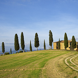 Excursions from Cortona to discover Tuscan Food and Wine | Toscana e Gusto - Guided Tours around Cortona